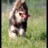 Happy