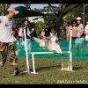 NDW08_Agility_53.jpg