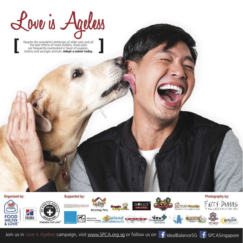 Love is ageless poster with Flapper and Romeo Tan