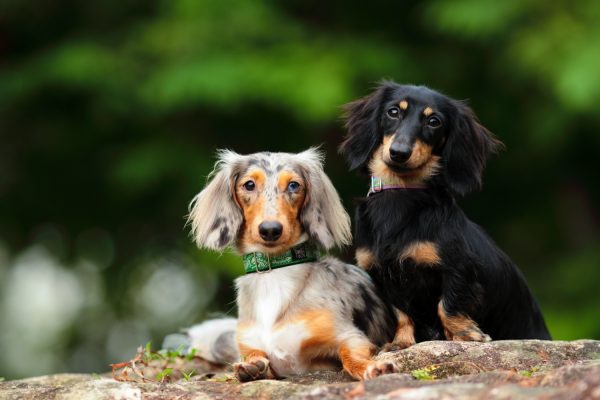 121103_sticth_kiki_kei_072