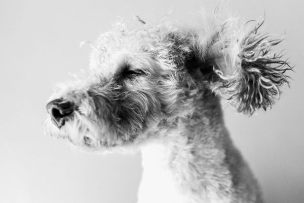 140418_schuyler_61bw_web