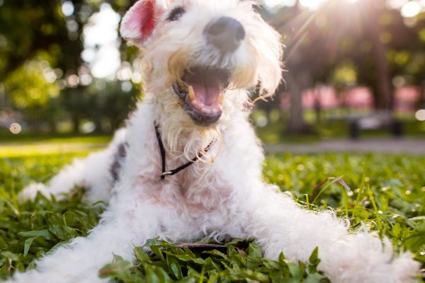 140620_mango_048_web