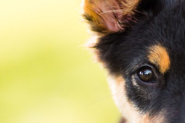 140719_freya_018_web