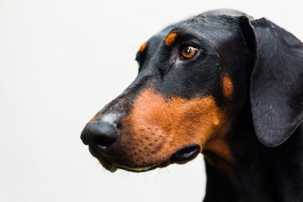 140724_boris_marci_091_web