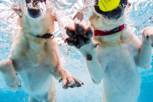 140812_uw_test_046_web