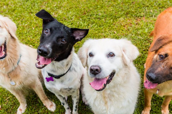 140913_mmmcp_120_web