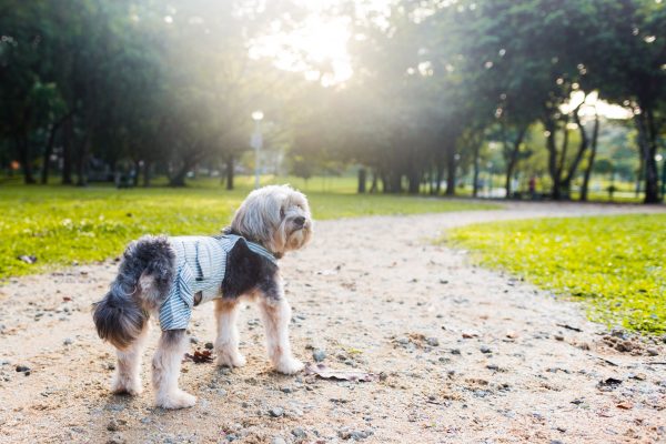 141130_bamji_005_web