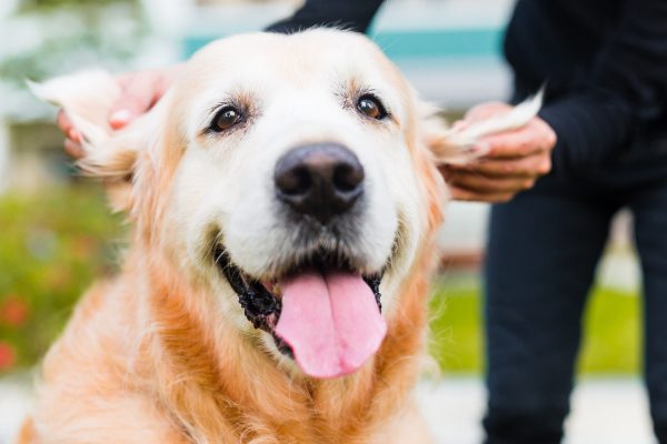 141214_tarzan_065_web