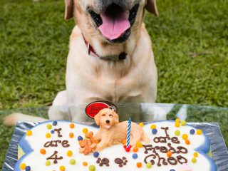 150324_frodopawty_128_web