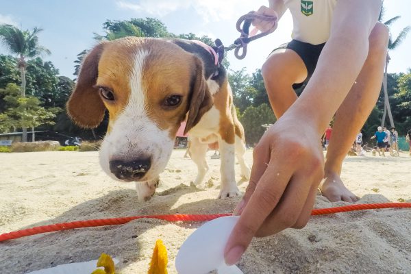 150712_suns2015_215_web