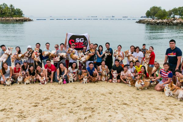 150809_sgcorgination-153_web