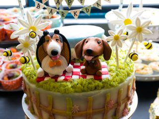 150816_riley_otto-004_web