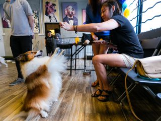 150816_riley_otto-043_web