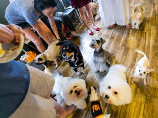 150816_riley_otto-071_web