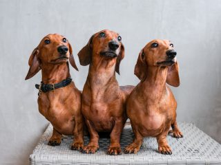 150816_riley_otto-164_web