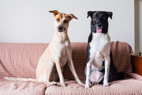 150826_eva_diandian-130_web