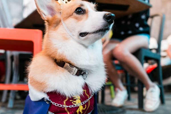 151031_nj_hhh-024_web