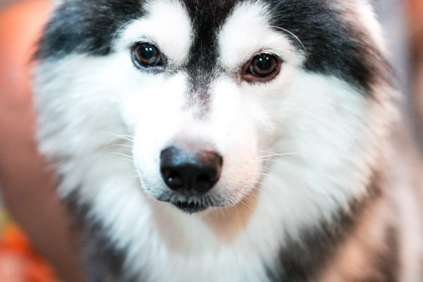 151031_nj_hhh-042_web