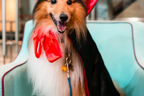 151031_nj_hhh-098_web