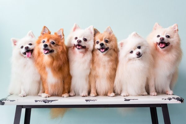 151118_deniseting-061_web