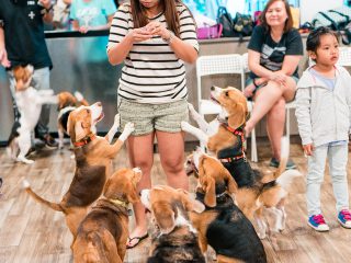 151128_wr_buddy-093_web