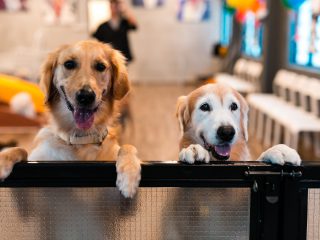 151128_wr_out-004_web