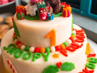 151220_wr_fredsnop-003_web