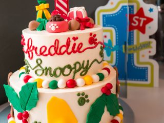 151220_wr_fredsnop-011_web