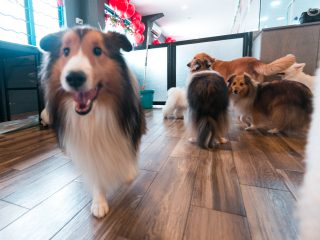 151220_wr_fredsnop-018_web