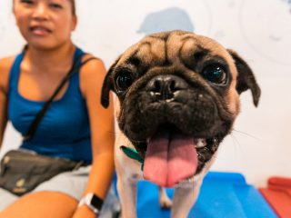 151220_wr_fredsnop-094_web