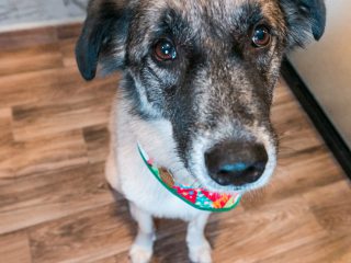 151220_wr_fredsnop-114_web