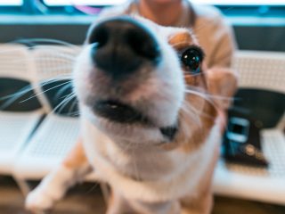 151220_wr_fredsnop-120_web