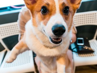 151220_wr_fredsnop-121_web