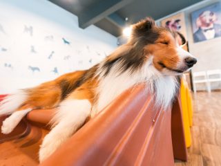 151220_wr_fredsnop-136_web