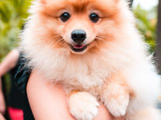 160103_harley-022_web