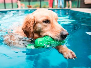 160103_harley-030_web