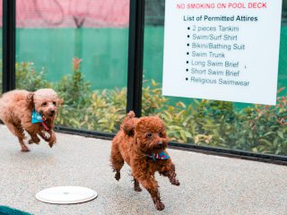 160103_harley-059_web