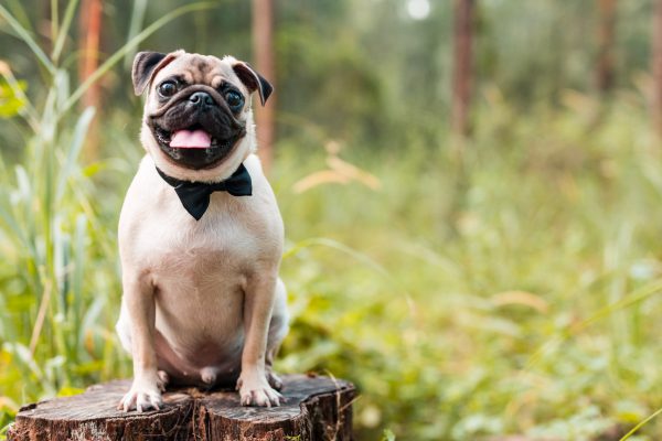 160131_benji_coney-039_web