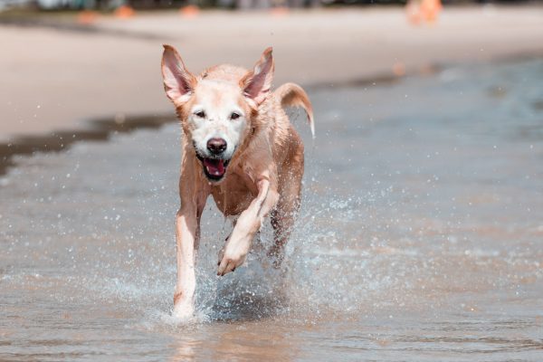 160203_ff_changi-015_web