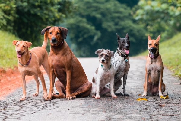 160605_kwpam-033_web