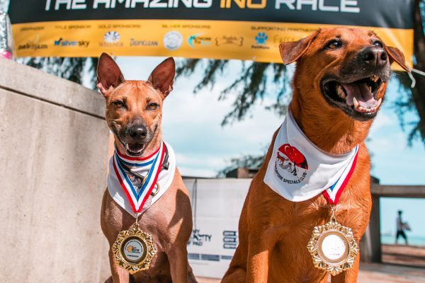 160709_nekojam-105_web