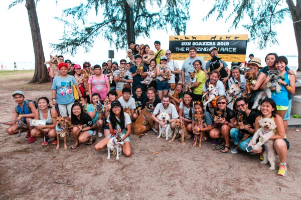 160709_nekojam-137_web