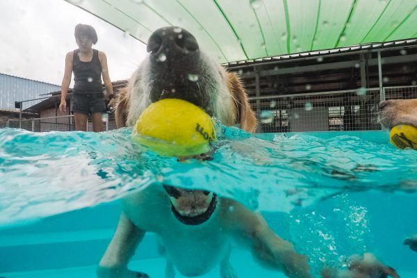 160714_ffpool-039_web