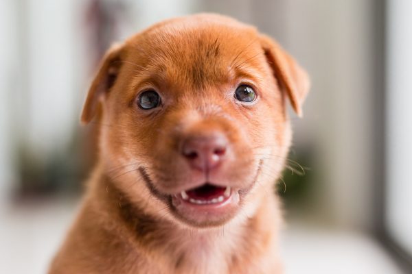 161013_cpups-017_web