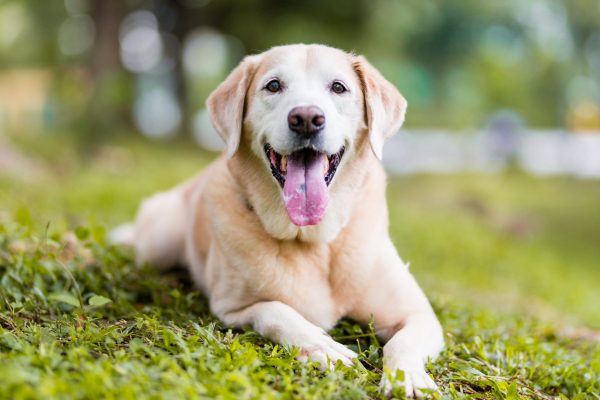 161116_Flaps-051_web