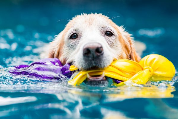 170426_Flaps-044_web