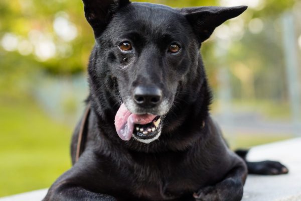 170430_Nicky_Nicole-026_web