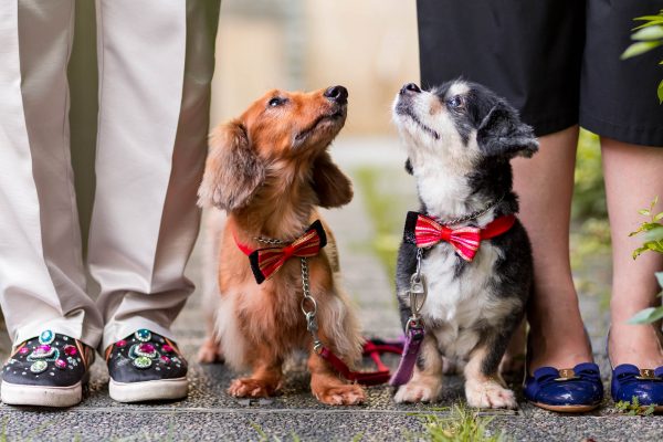 180127_BernieTimber-073_web