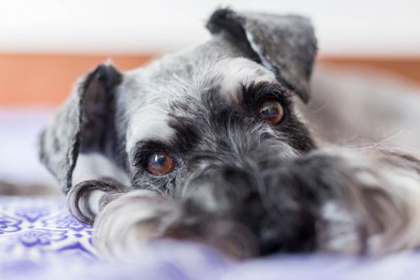 180304_Ralph-100_web