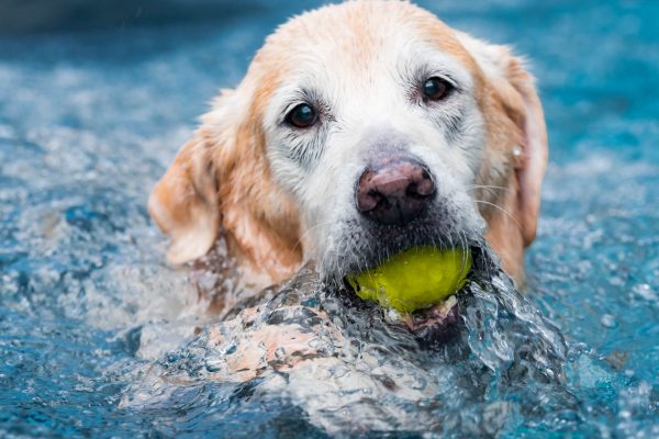 180328_Flaps-010_web